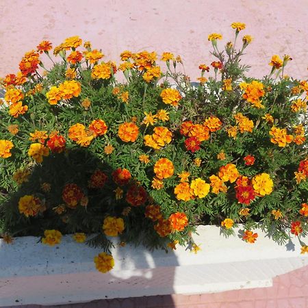 Trulli Di Nonna Marietta Villa Мартина Франка Екстериор снимка